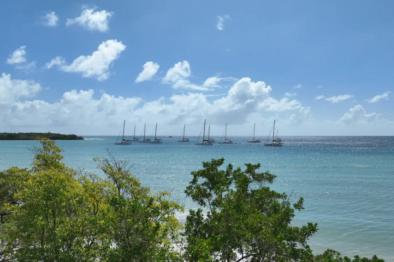 actu escale martinique 6 - Outremer